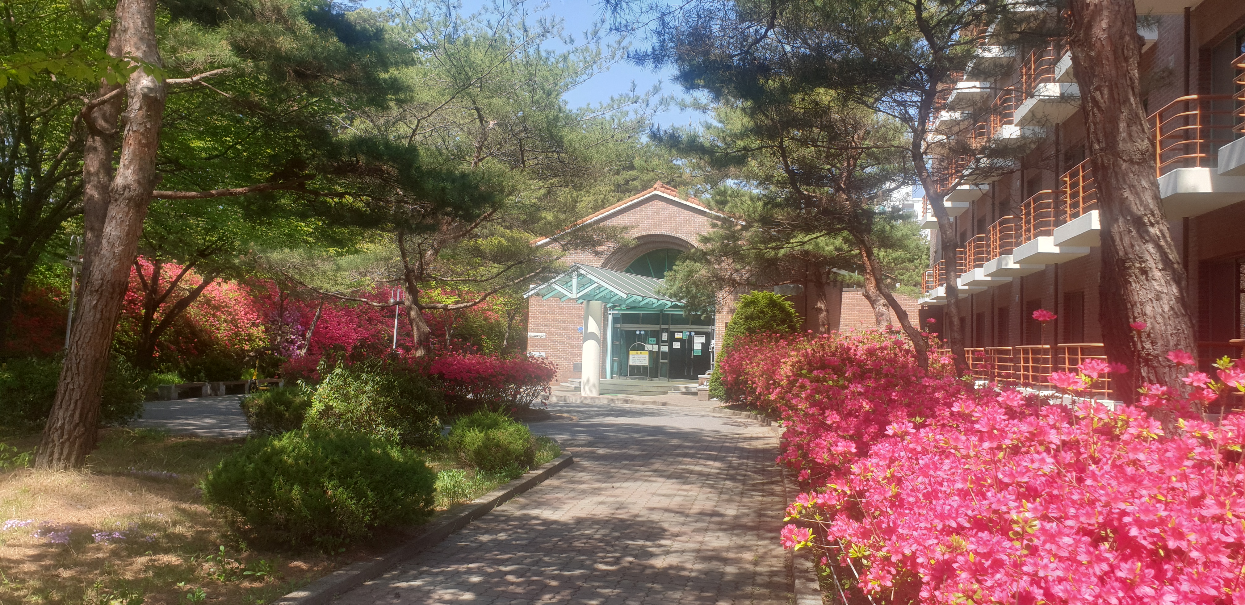 교내 여학생 생활관(혜전학사) 이미지01